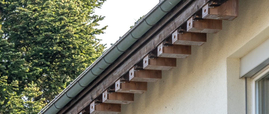 Geb&auml;udebr&uuml;ter-Nistk&auml;sten